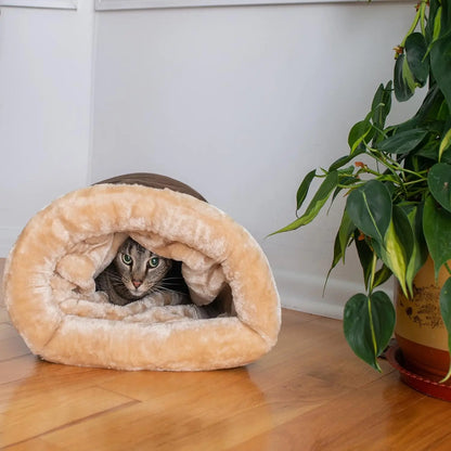 Cat curled inside the plush sleeping bag