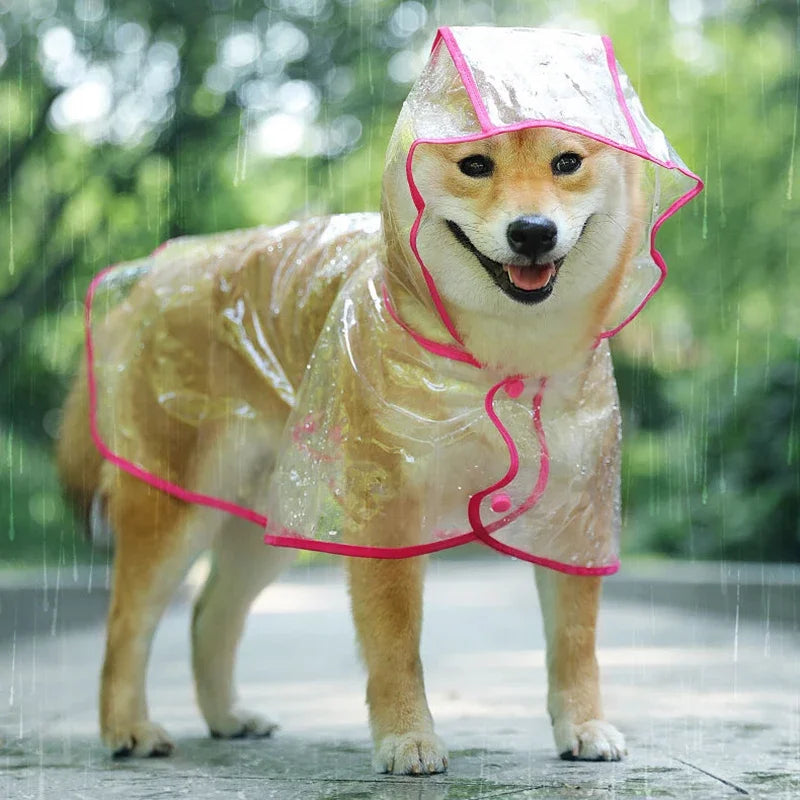 Transparent Hooded Dog Raincoat – Waterproof Puppy Poncho – product image 8