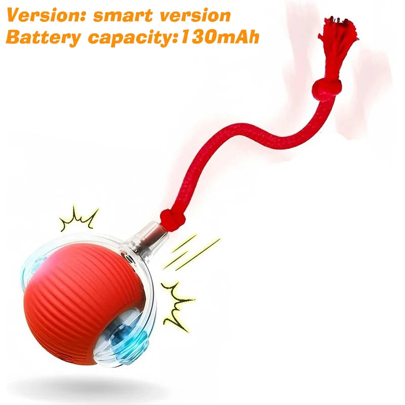 Rechargeable Rolling Dog Ball – Automatic Interactive Toy – product image 19