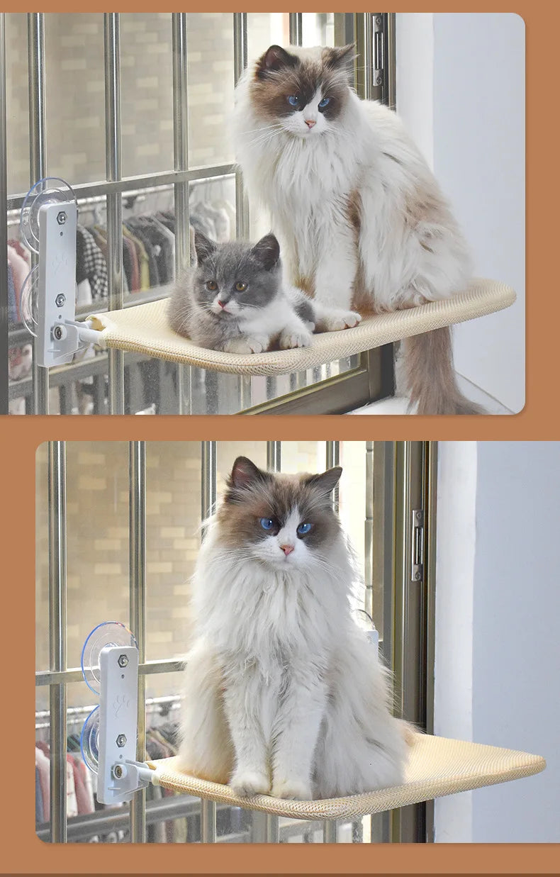 Foldable Hanging Hammock for Pet, Hammock for Kitten, Hammock for Sunny Window, Mounted Cat Bed, Durable Climbing Frame