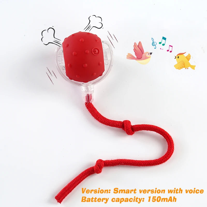 Rechargeable Rolling Dog Ball – Automatic Interactive Toy – product image 17