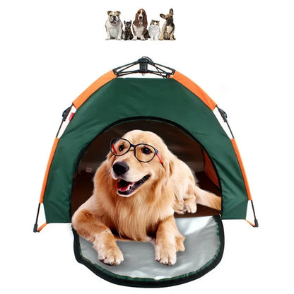 Dog inside the green and orange pet tent