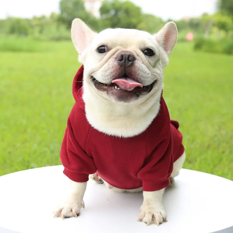 Warm Dog Hoodie – Chihuahua & French Bulldog Coat – product image 8