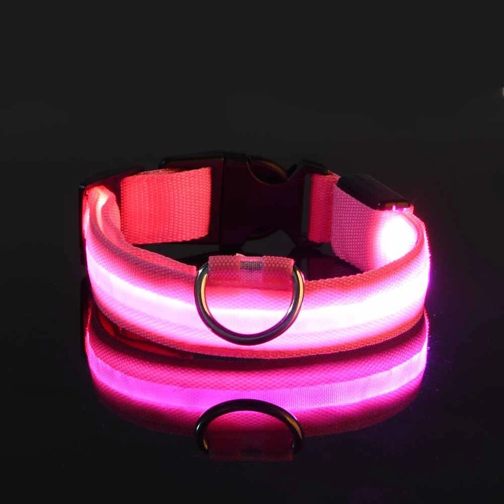 LED Safety Dog Collar – Light-Up Night Walking Collar – product view 19