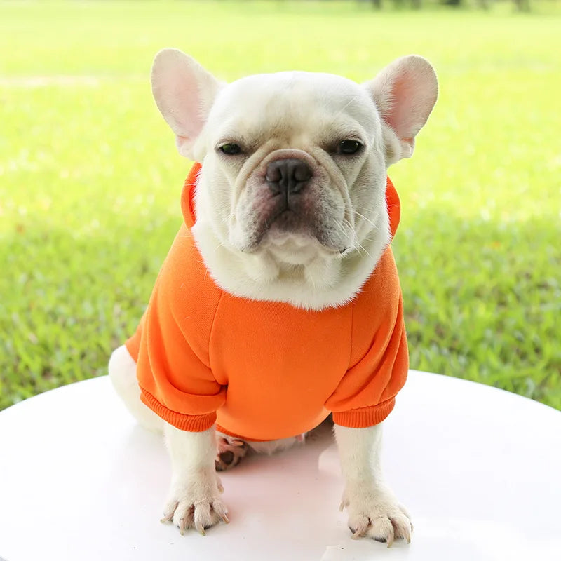Warm Dog Hoodie – Chihuahua & French Bulldog Coat – product image 14