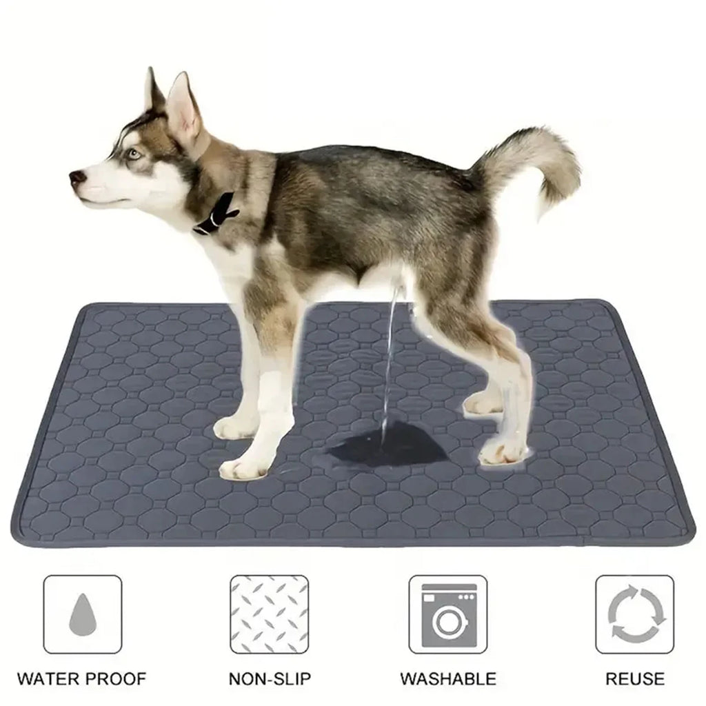 Washable Dog Pee Pad – Reusable Waterproof Training Mat