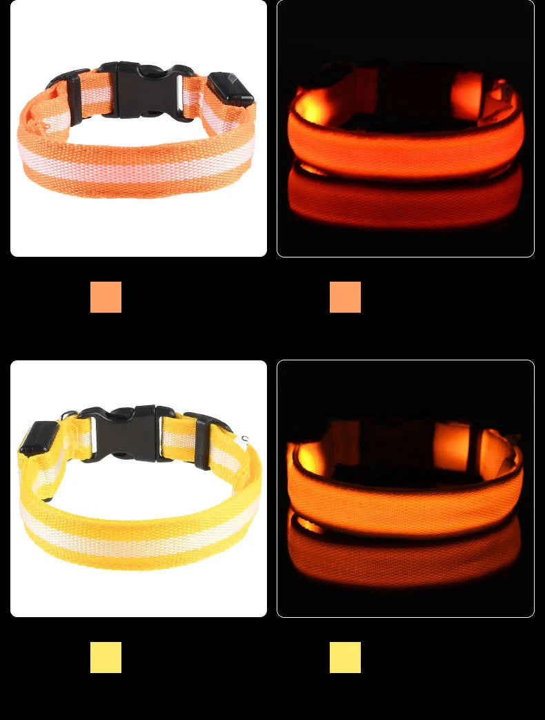 LED Safety Dog Collar – Light-Up Night Walking Collar – product view 16