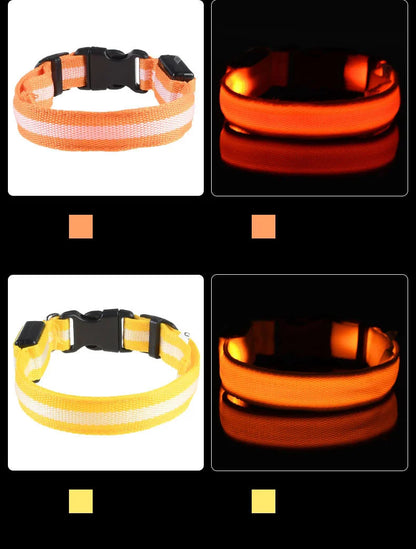 LED Safety Dog Collar – Light-Up Night Walking Collar – product view 16