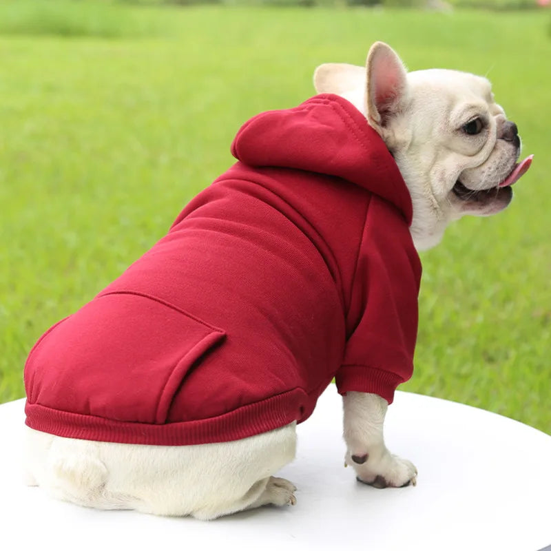 Warm Dog Hoodie – Chihuahua & French Bulldog Coat – product image 3