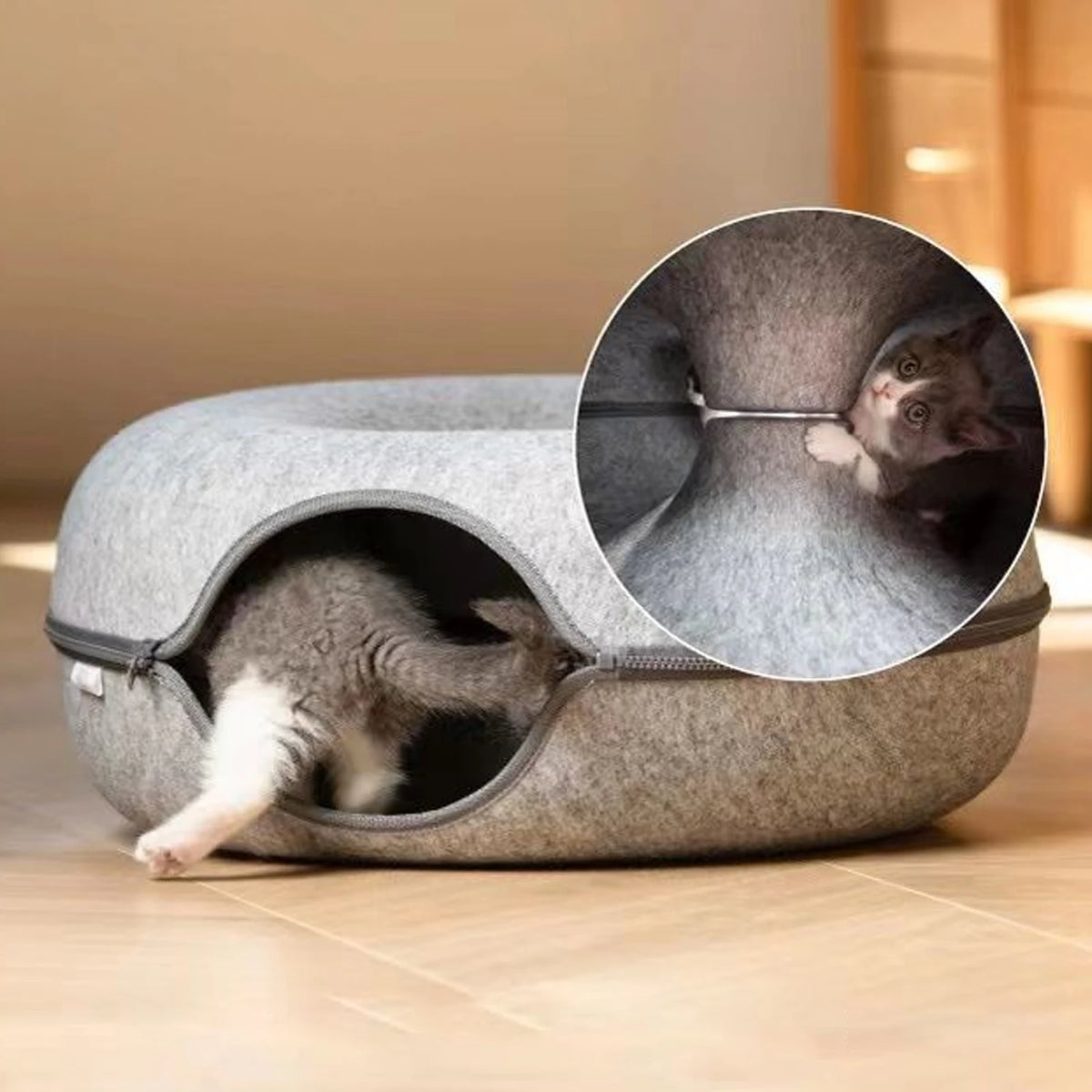 Cat entering the lower cave of the stacked bed