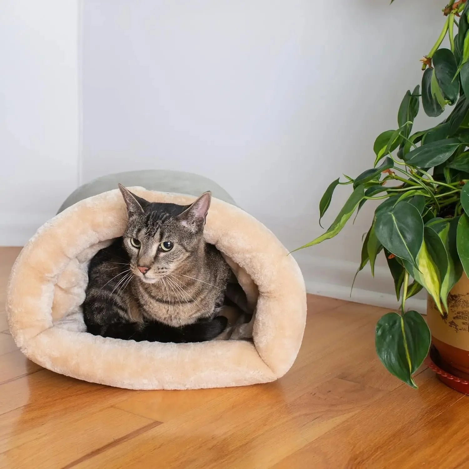 Cats Bed Basket Accessory House Kitten Houses and Habitats Accessories All Pet Products Dog Mat Supplies Beds Puppy Things Goods