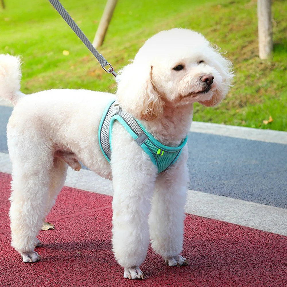 Reflective Step-In Pet Harness – Adjustable Walking Vest – product view 9