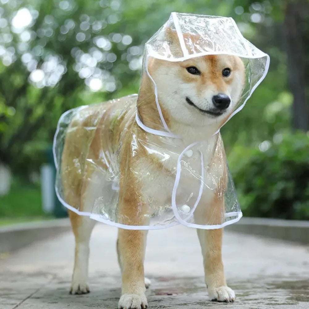 Transparent Hooded Dog Raincoat – Waterproof Puppy Poncho
