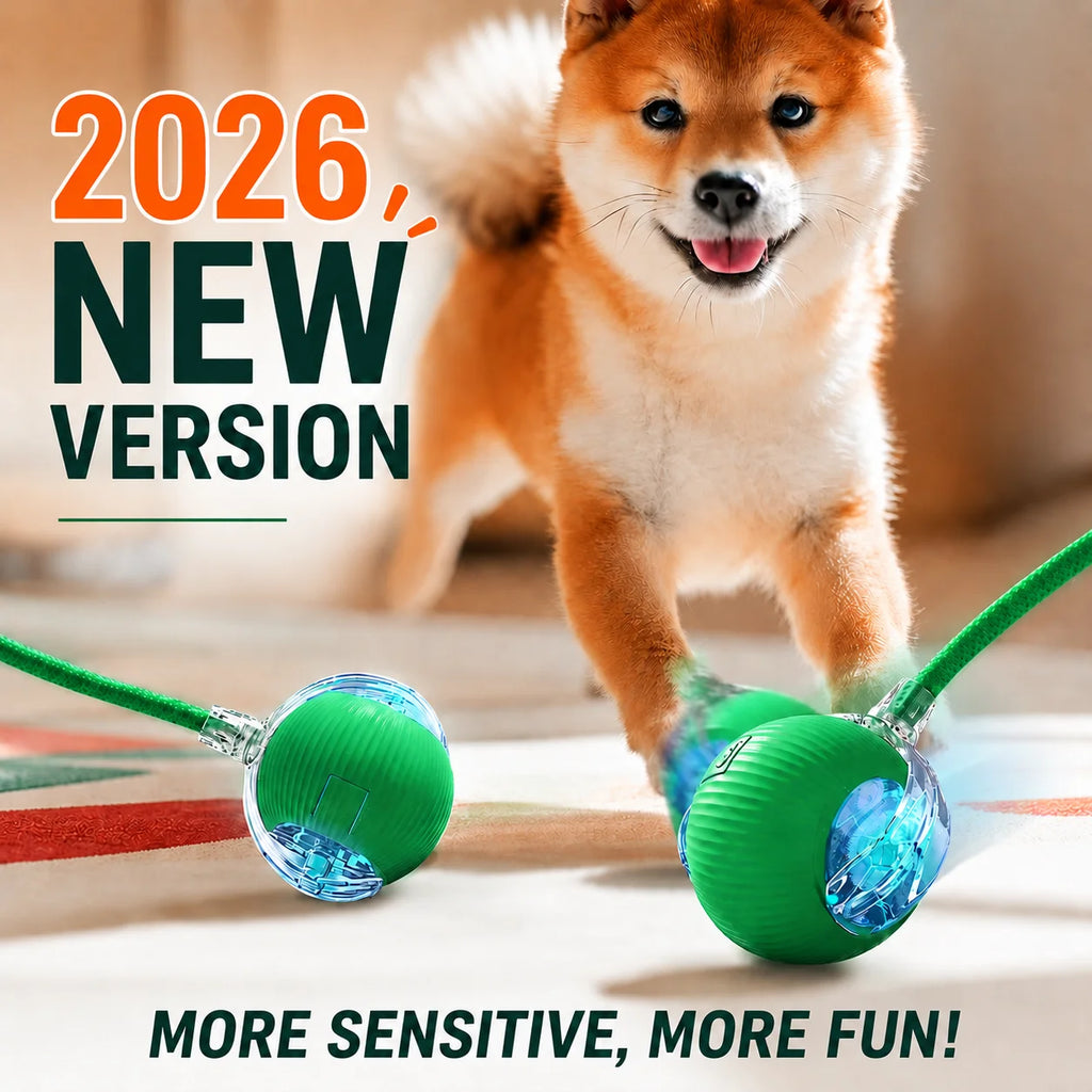 Rechargeable Rolling Dog Ball – Automatic Interactive Toy – product image 8
