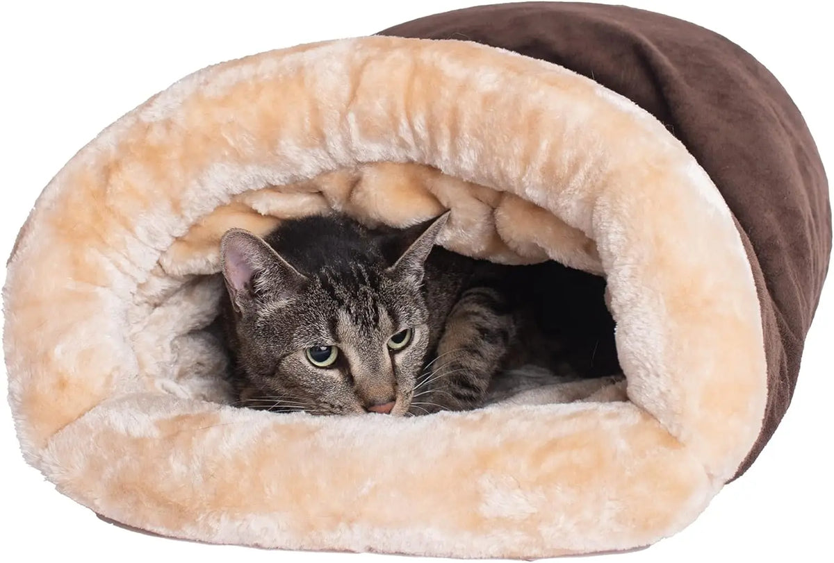 Cat peeking from the semi-enclosed sleeping bag