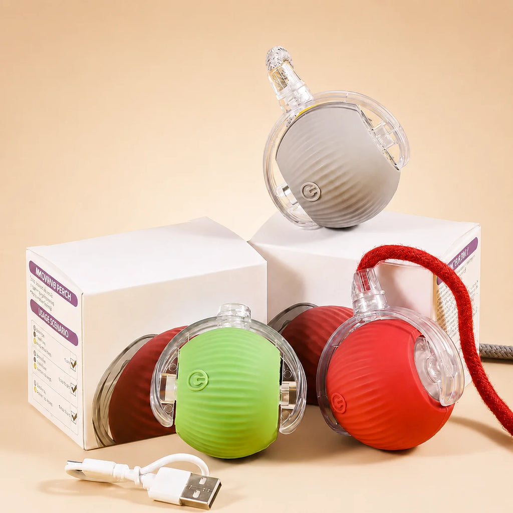 Rechargeable Rolling Dog Ball – Automatic Interactive Toy – product image 16