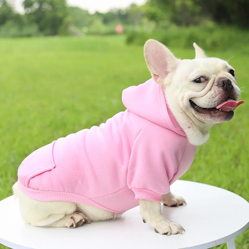 Warm Dog Hoodie – Chihuahua & French Bulldog Coat – product image 10