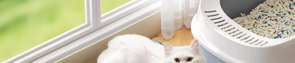 Waterproof Cat Litter Mat – Double-Layer Trapping Pad – product view 34