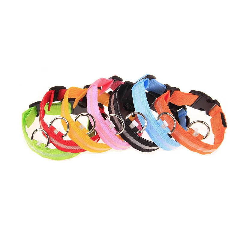 LED Safety Dog Collar – Light-Up Night Walking Collar – product view 7