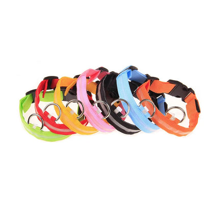 LED Safety Dog Collar – Light-Up Night Walking Collar – product view 7