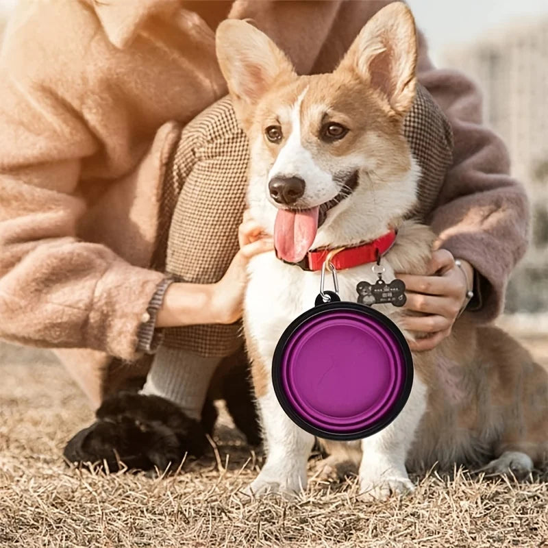 Collapsible Pet Travel Bowl – Portable Food & Water Dish