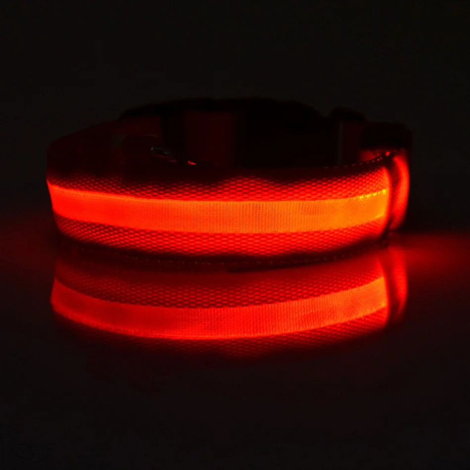 LED Safety Dog Collar – Light-Up Night Walking Collar – product view 14
