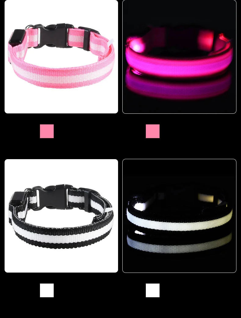 LED Safety Dog Collar – Light-Up Night Walking Collar – product view 8