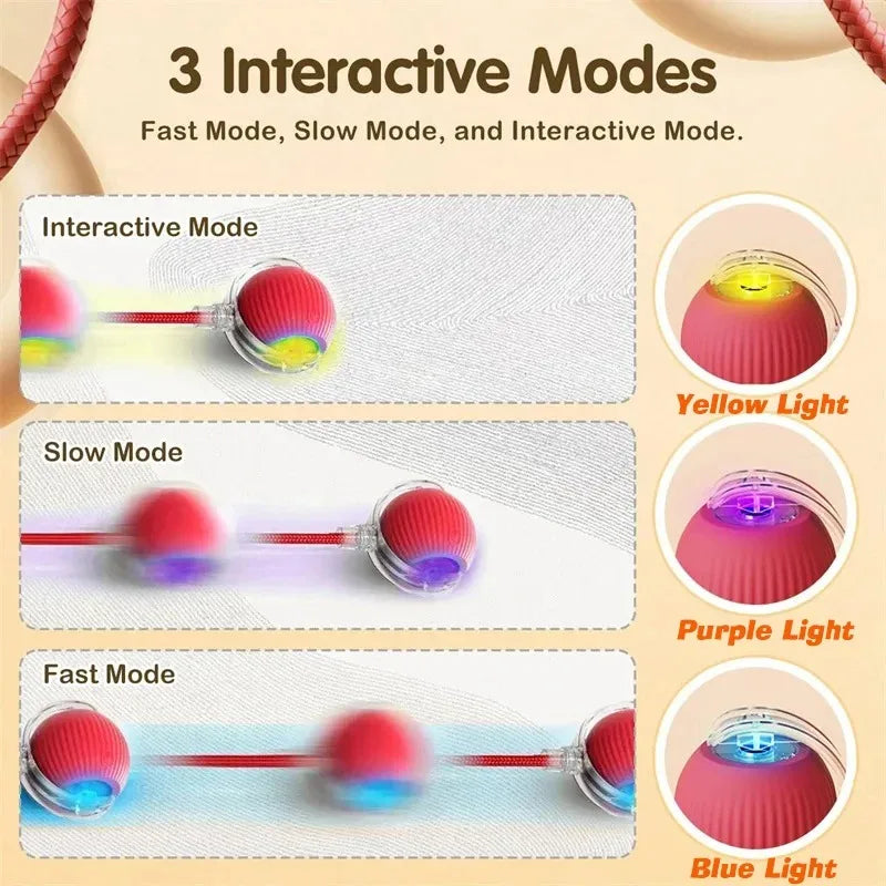 Rechargeable Rolling Dog Ball – Automatic Interactive Toy – product image 14