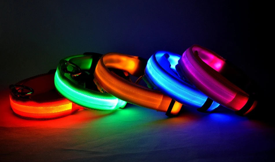 LED Safety Dog Collar – Light-Up Night Walking Collar – product view 13