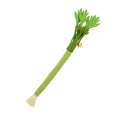 Catnip Chew Stick Toy – Interactive Molar Toy – product image 13