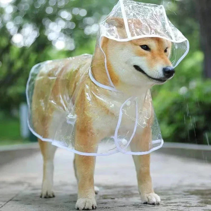 Transparent Hooded Dog Raincoat – Waterproof Puppy Poncho – product image 14