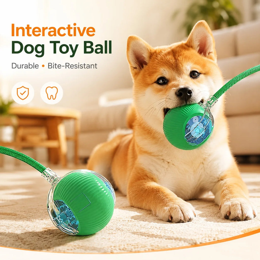 Rechargeable Rolling Dog Ball – Automatic Interactive Toy – product image 11