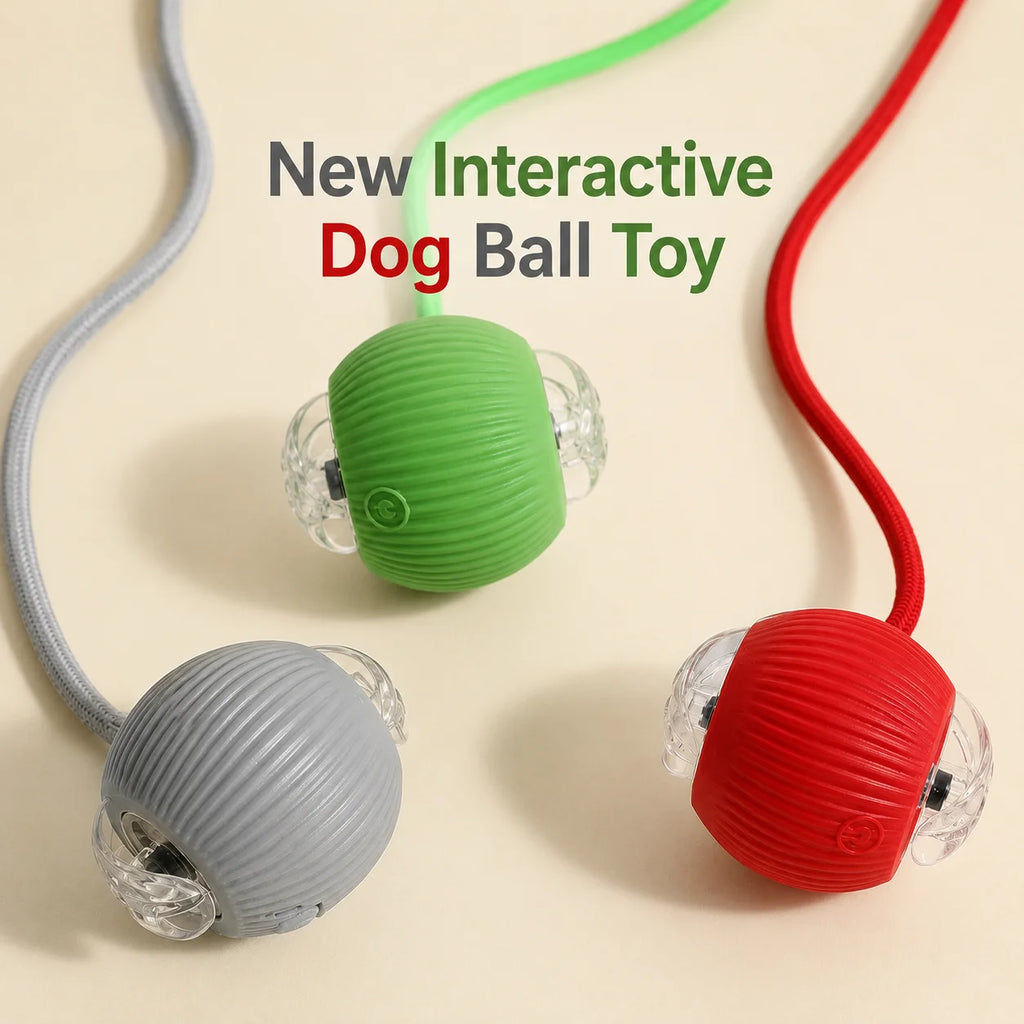 Rechargeable Rolling Dog Ball – Automatic Interactive Toy – product image 6