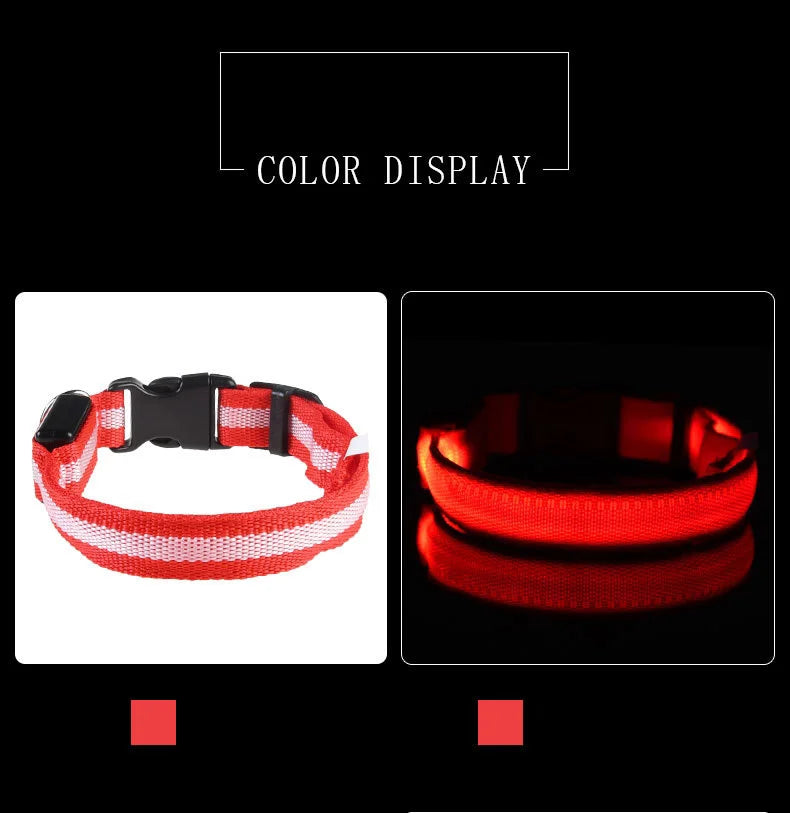 LED Safety Dog Collar – Light-Up Night Walking Collar – product view 11