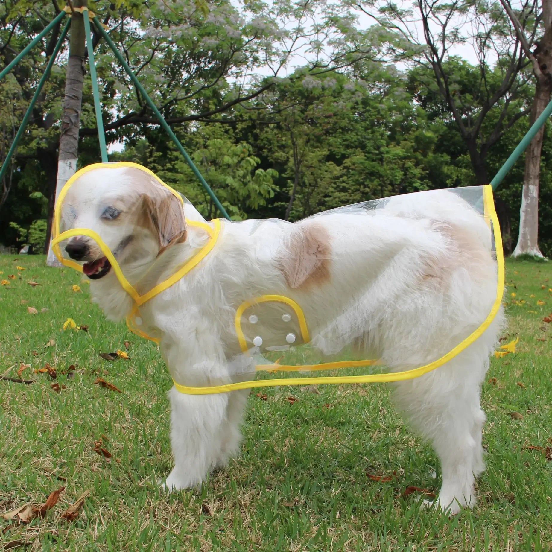 Transparent Hooded Dog Raincoat – Waterproof Puppy Poncho – product image 5
