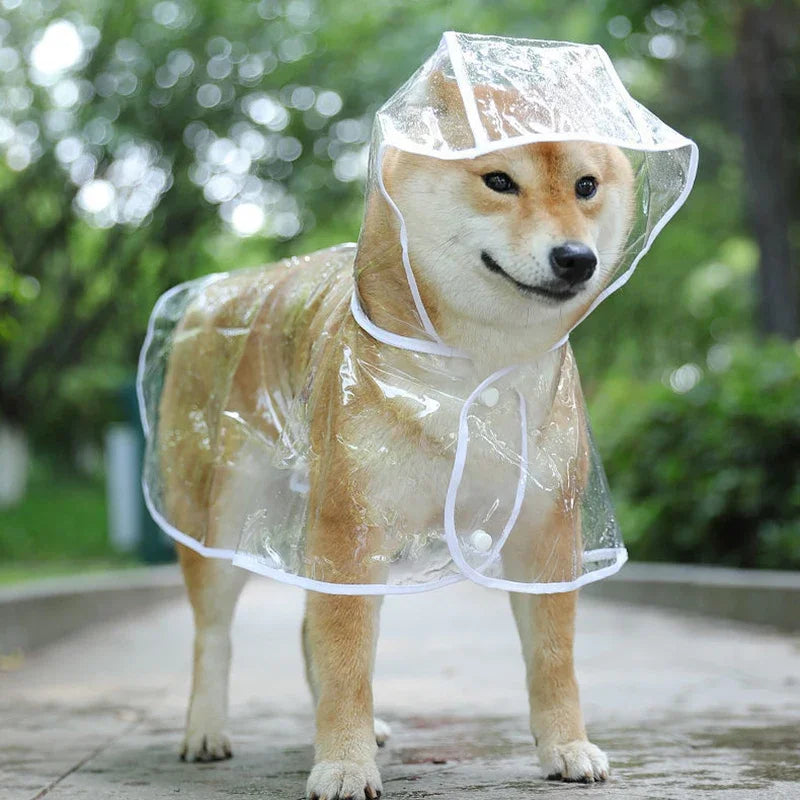 Transparent Hooded Dog Raincoat – Waterproof Puppy Poncho – product image 7