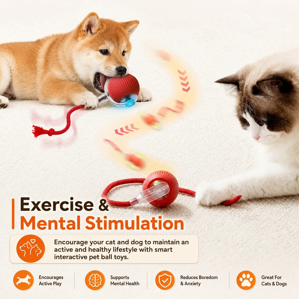 Rechargeable Rolling Dog Ball – Automatic Interactive Toy – product image 12